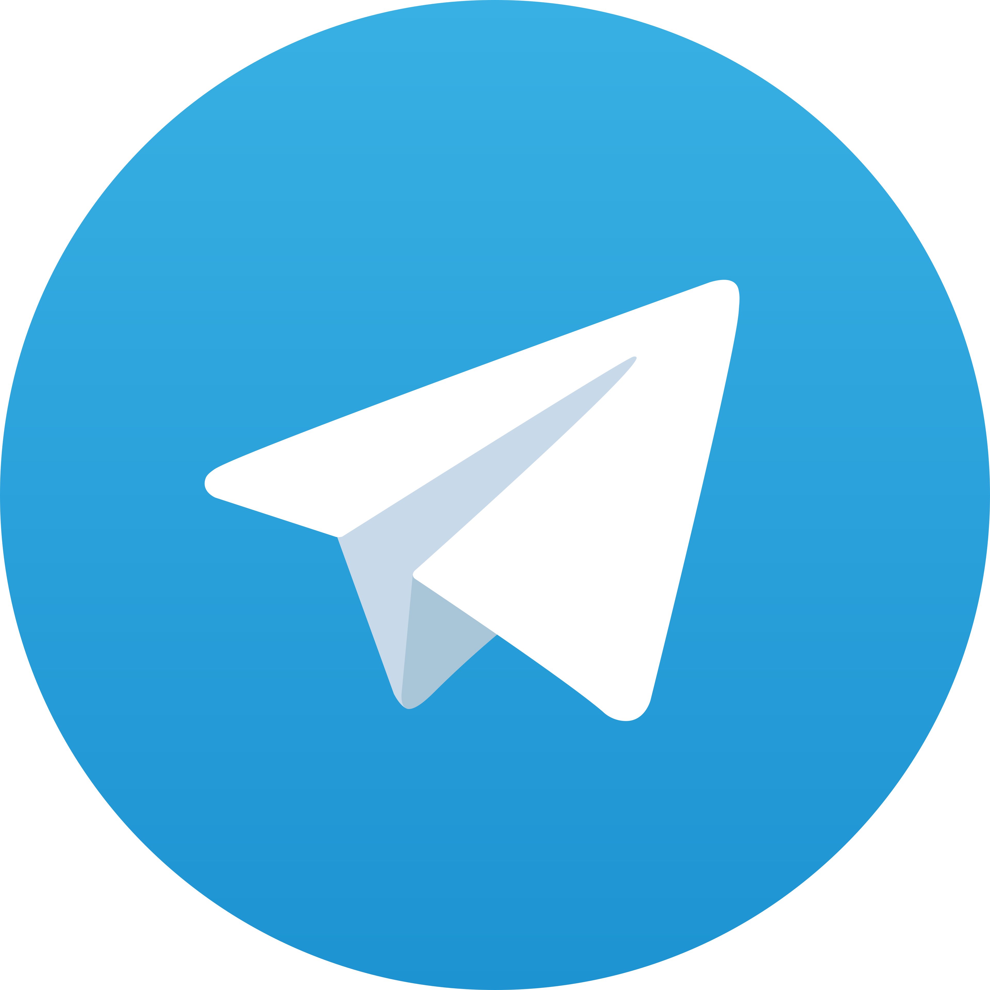 Telegram 88HALO